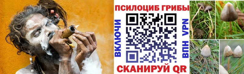 Псилоцибиновые грибы ЛСД  закладки  Холмск 
