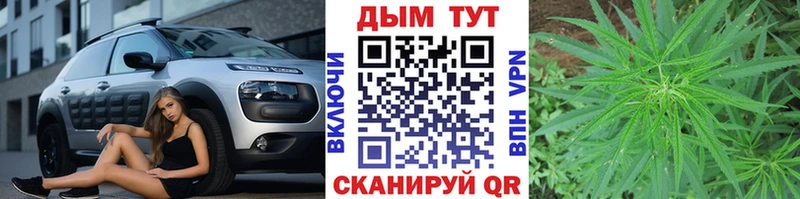 Шишки марихуана семена  Холмск 